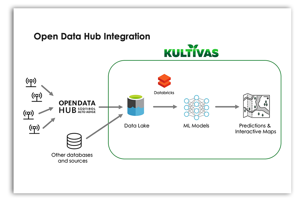 Artificial intelligence applied in the Kultivas project for predictive analysis in apple cultivation.
